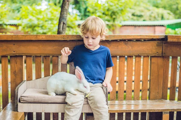 Niño pequeño acaricia y jugar con conejo — Foto de Stock