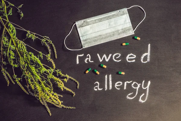Ambrosia, medische masker, allergie tabletten — Stockfoto