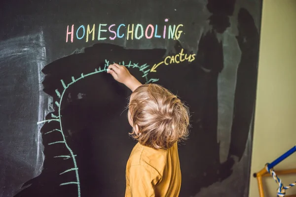 Boy is drawing under word Homeschooling — Stock Photo, Image