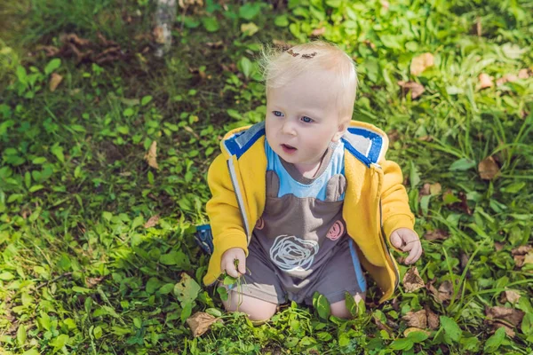 Boy in yellow sweatshirt — Stock Photo, Image