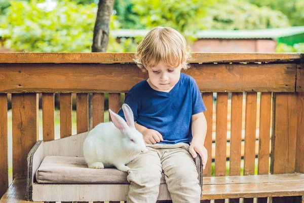 Niño pequeño acaricia y jugar con conejo — Foto de Stock