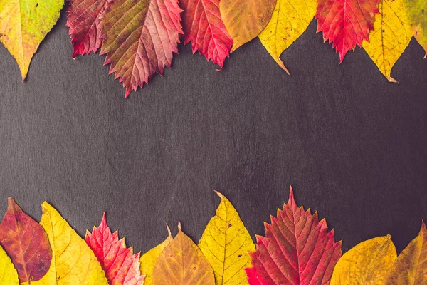 Ahşap arka planda sonbahar yaprakları