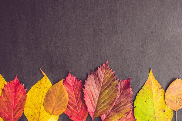 Ahşap arka planda sonbahar yaprakları