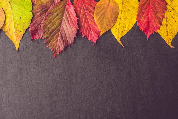 Ahşap arka planda sonbahar yaprakları