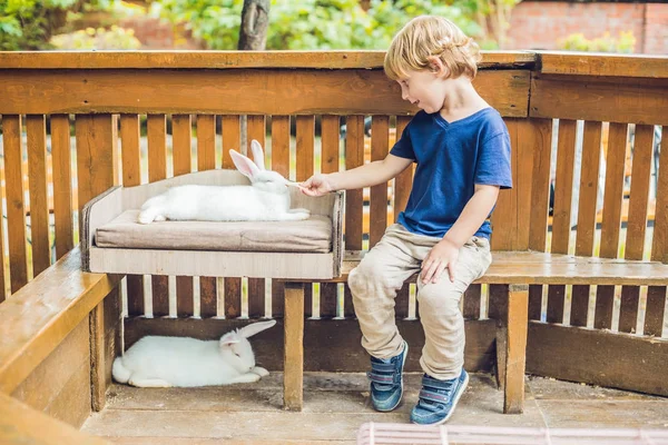 Niño pequeño acaricia y jugar con conejo — Foto de Stock