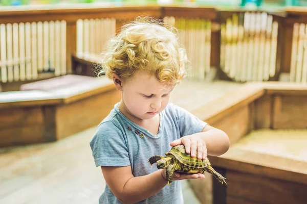 Niña pequeña acaricia y jugar con la tortuga — Foto de Stock