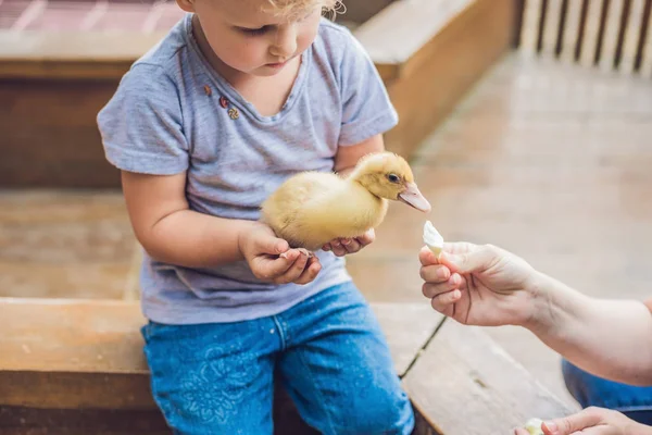 Petite fille jouant avec le canard — Photo