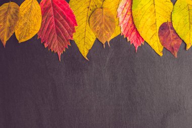 Ahşap arka planda sonbahar yaprakları