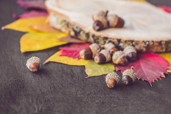 Ahşap arka planda sonbahar yaprakları