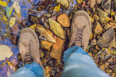 Gezgin Görünümü yukarıdan çizme