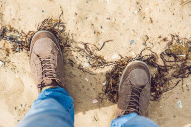 Gezgin Görünümü yukarıdan çizme