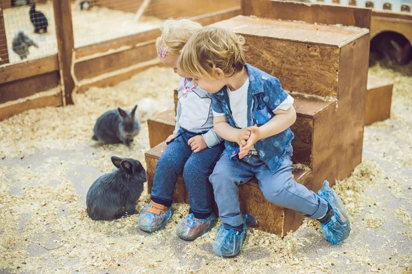 Les enfants jouent avec les lapins dans le zoo pour enfants — Photo