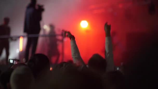 Persone che godono di concerto rock — Video Stock