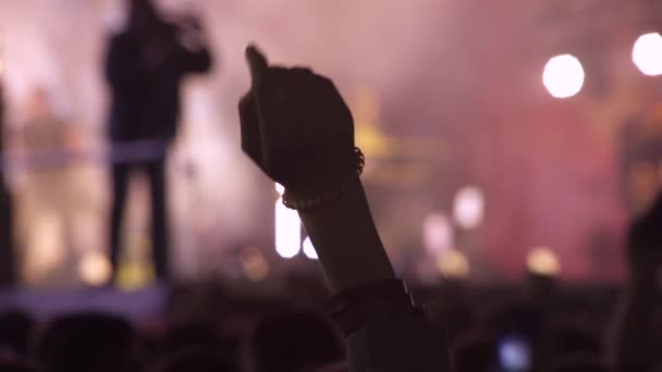 Persone che godono di concerto rock — Video Stock