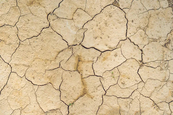 Latar belakang tanah cokelat kering, efek pemanasan global — Stok Foto