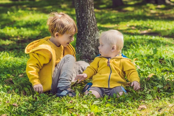 Twee gelukkige broers in gele sweatshirts — Stockfoto