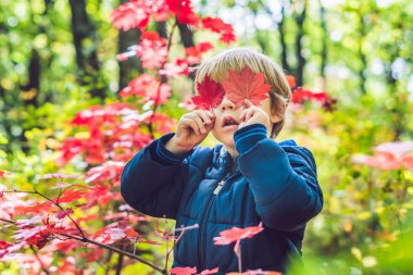 Sonbahar parkta küçük oğlu