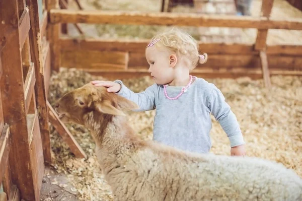 Fille jouer avec l'agneau sur la ferme — Photo