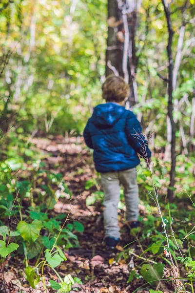 Sonbahar parkta küçük oğlu