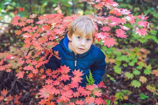 Menino no parque de outono — Fotografia de Stock