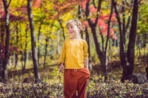 Pequeño niño en el parque de otoño — Foto de Stock