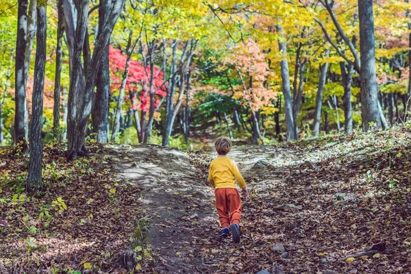 Menino no parque de outono — Fotografia de Stock