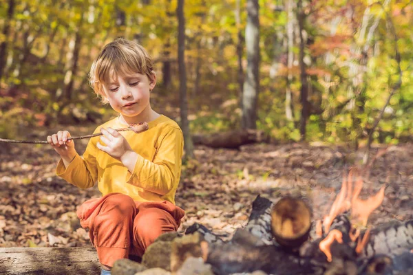 Çocuk kamp ateşi oturan ve kızarmış sosis yeme
