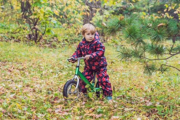 Little boy having fun on bikes in autumn forest. Selective focus — Stock Photo, Image