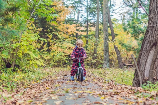 Menino se divertindo em bicicletas na floresta de outono. Foco seletivo — Fotografia de Stock