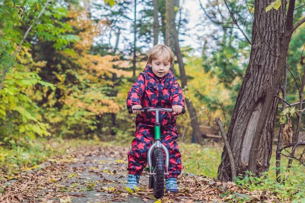Мальчик веселится на велосипедах в осеннем лесу. Селективный фокус — стоковое фото