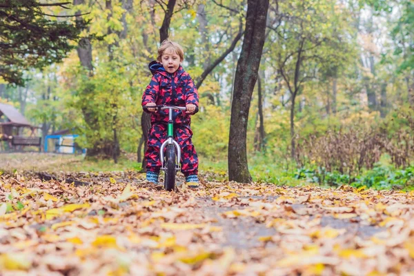 Маленький мальчик веселится на велосипеде — стоковое фото