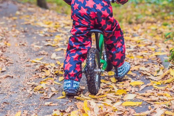 Маленький мальчик веселится на велосипеде — стоковое фото