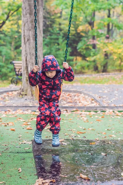 Возбужденный Маленький Мальчик Качелях Открытом Воздухе Осенние Листья Заднем Плане — стоковое фото