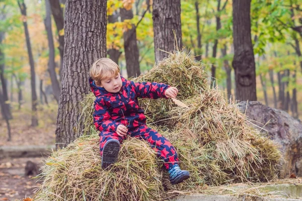 Boy Sitting Haystack Autumn — Stock Photo, Image