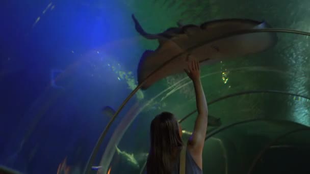 Жінка Океанаріумі Торкається Скла Тому Місці Суха Риба Плаває — стокове відео