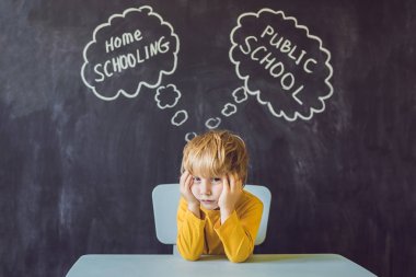 Evde eğitim vs - oğlan masada oturur ve ev okullaşma ve devlet okulu arasında seçer - okullarında vs öğrenmek ve evde ailesi ile çalışma öğretmen tarafından eğitimli.