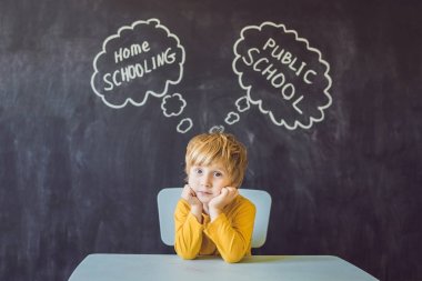 Evde eğitim vs - oğlan masada oturur ve ev okullaşma ve devlet okulu arasında seçer - okullarında vs öğrenmek ve evde ailesi ile çalışma öğretmen tarafından eğitimli.