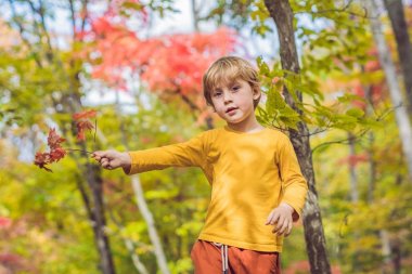 Sonbahar parkında küçük bir çocuk