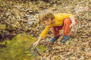 Sonbahar parkında küçük bir çocuk