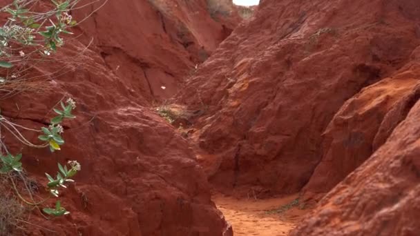 Liten Canyon Den Röda Öknen Mui Vietnam — Stockvideo