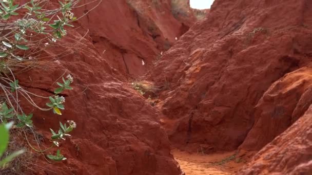 Kleine Canyon Rode Woestijn Mui Vietnam — Stockvideo