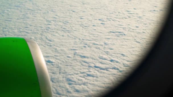 Vista desde una ventana de un avión en payasos con un motor de aviones verdes en un fondo — Vídeo de stock