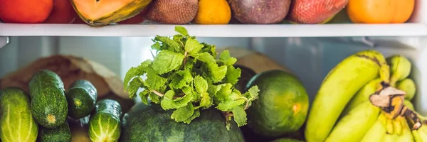 BANNER, Long Format Open Refrigerator Filled with Fresh Fruits and Vegetable, Raw Food Concept, healthy eating concept — стоковое фото