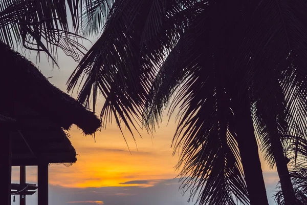 Pálmafák a gyönyörű naplemente háttér — Stock Fotó