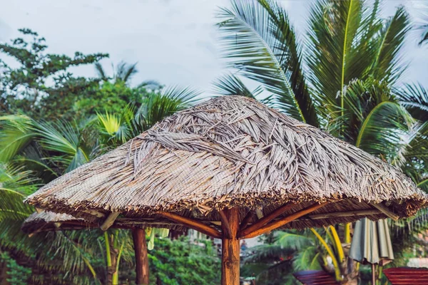 Gyönyörű trópusi strand tanúja szalma esernyő és a tenyér. Szalma esernyő és pálma a strandon — Stock Fotó