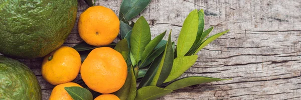 Banner, lange formaat verschillende soorten citrus op een oude houten achtergrond — Stockfoto