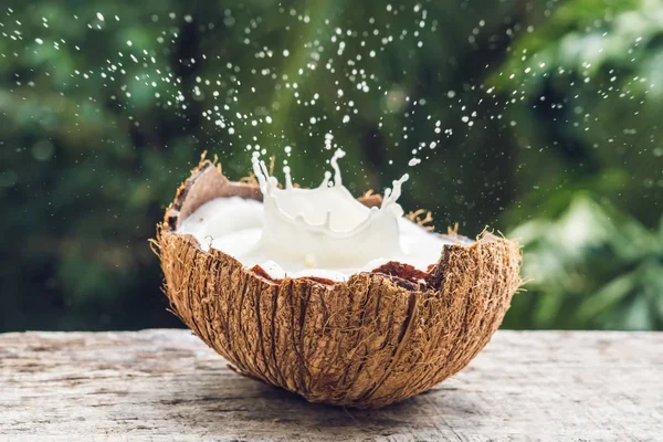 Frutta Cocco Spruzzi Latte Suo Interno Uno Sfondo Una Palma — Foto Stock