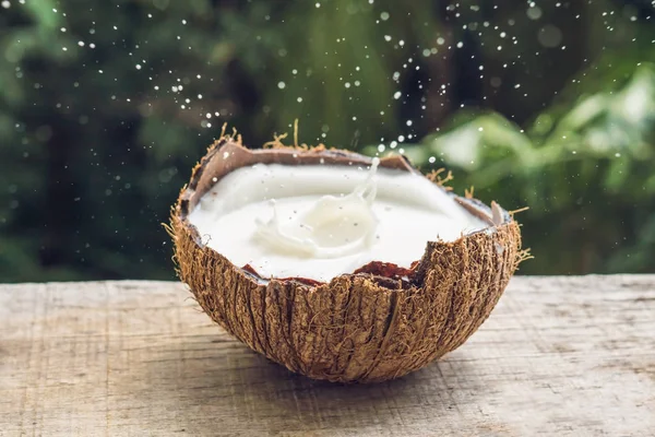 Frutta Cocco Spruzzi Latte Suo Interno Uno Sfondo Una Palma — Foto Stock