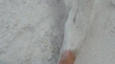 Bacaklar beyaz kumlu bir plaj üzerinde yürüyen bir adam