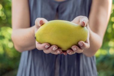 Güzel erkek Mango yeşil bir arka plan üzerinde eller.